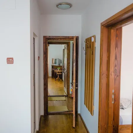 Pensiunea Trei Ponei Guest house