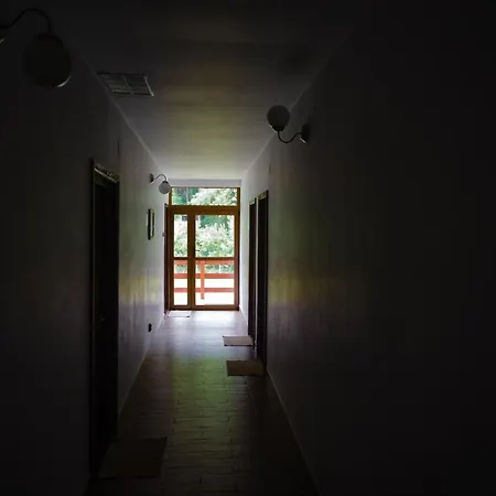 Pensiunea Trei Ponei Guest house 3*