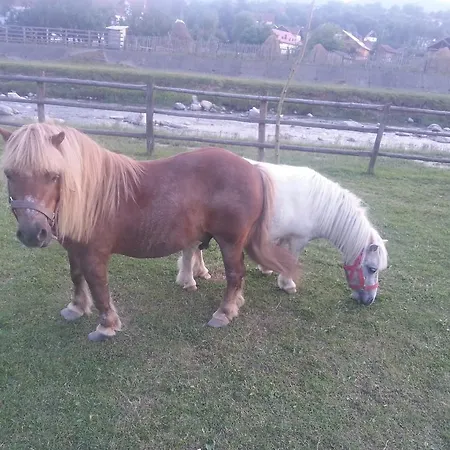 Pensiunea Trei Ponei 3* Corbeni
