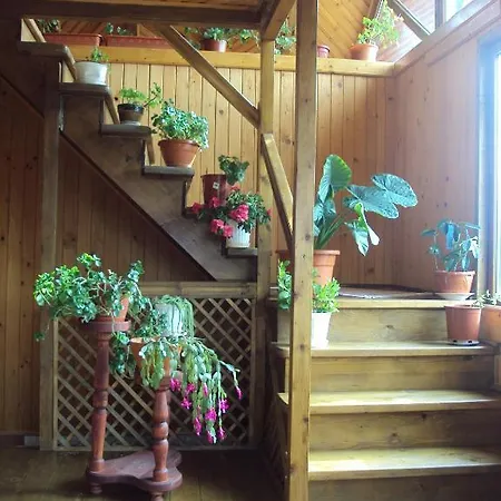 Guest house Pensiunea Trei Ponei 3*