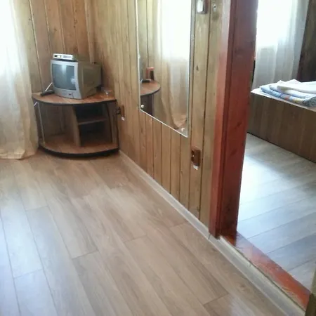 Guest house Pensiunea Trei Ponei 3*