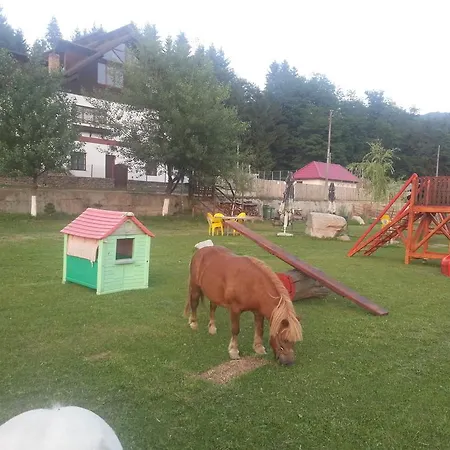 Pensiunea Trei Ponei 3*