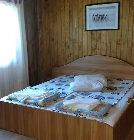 Pensiunea Trei Ponei Guest house