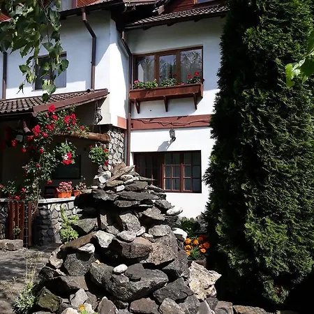 Pensiunea Trei Ponei Guest house Corbeni