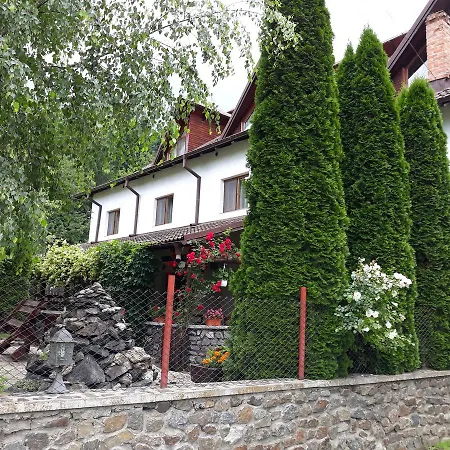 Guest house Pensiunea Trei Ponei 3*