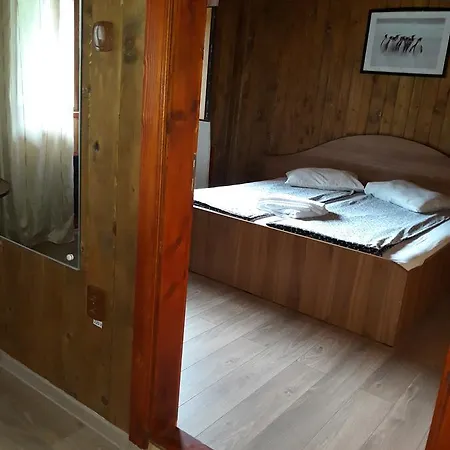 Guest house Pensiunea Trei Ponei 3*