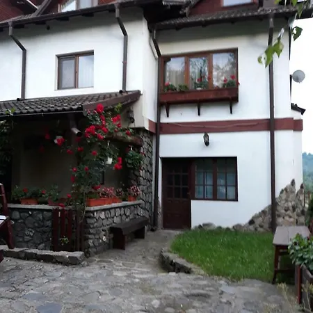 Gasthuis Pensiunea Trei Ponei 3*