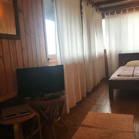 Pensiunea Trei Ponei Guest house