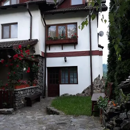 Pensiunea Trei Ponei 3*