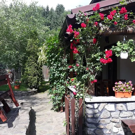 Pensiunea Trei Ponei