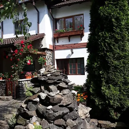 Pensiunea Trei Ponei Gasthuis 3*